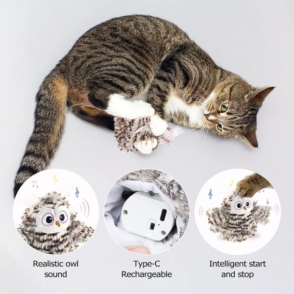 Interaktiva katt leksaker, katt leksaker med fladdrande vingar