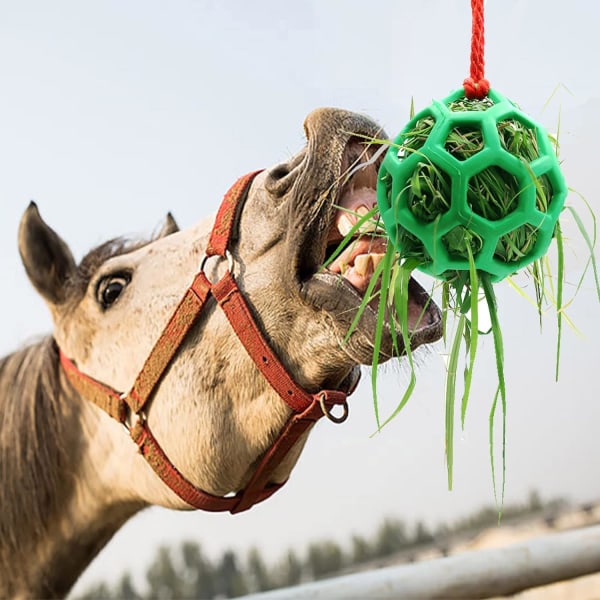 1 st Horse Treat Ball Hay Feeder Toy Ball Hängande matningsleksak för Horse Hor