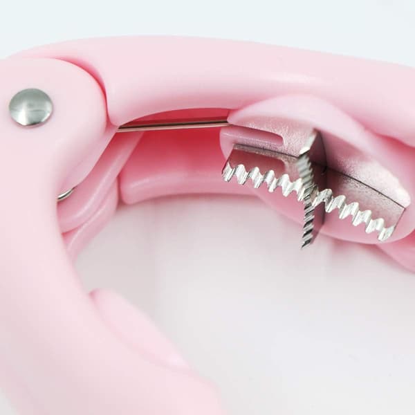 Kastanjetang Kastanjekasserolle Kutter Åpner Rosa Valnøttklips