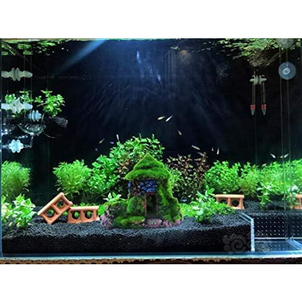 Akvariedekorationer Fiskgömställe Hus Betta Cave med grön naturtrogen mossa