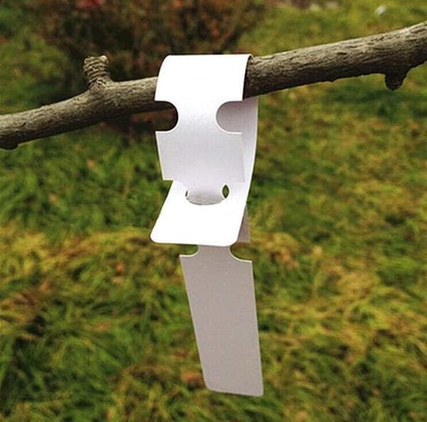 100 st plastväxtträdsetiketter, 2 x 21 cm, för växtförpackning (vit)