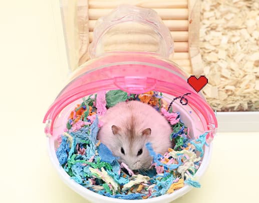 Blå Hamster Badeværelse - Hamster Løbehjul