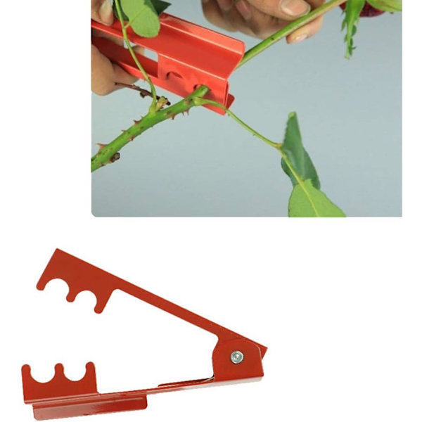 DIY Trimming Tool Blomsterhandlare Metall Gardon Ros Torn Stam Blad Avlägsnare Ros Tång Ta Bort Gråta Trädgårdsverktyg