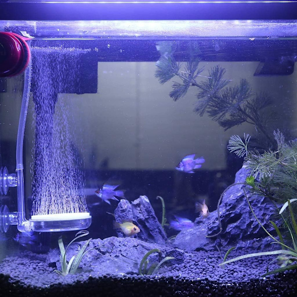 (60 mm) Akvarieluftsten, luftdiffusor för akvarier, bubbelsten