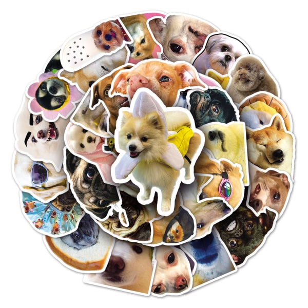 Søt Internet Celebrity Dog Expression Pack, 50 kreative og morsomme