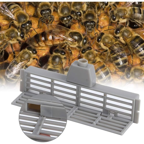 (12 cm) 10 kpl - Monitoiminen kannettava mehiläispakoväline, Beekee