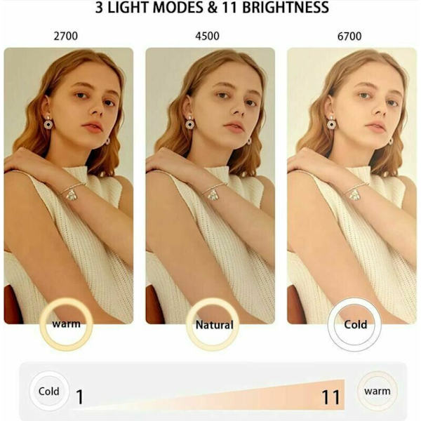 Ringlys med klips, 6 LED videokonferansebelysning I