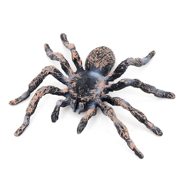 Halloween Spider Mønster