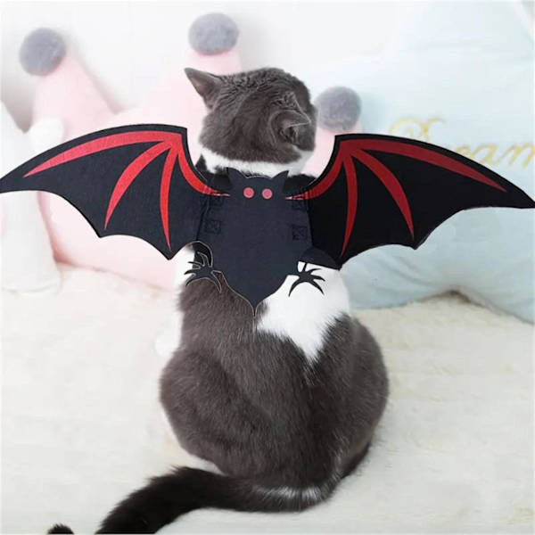 Kattkostym | Söt unik Halloween-kattkostym för katt kattunge valp liten hund - Husdjurskläder för Sma
