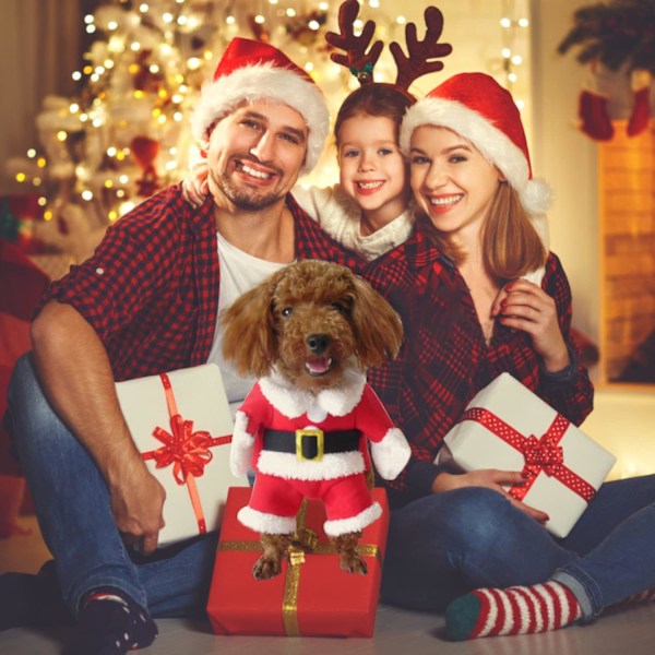 Jul husdjurskläder söta tomtekläder för hund jul husdjurskläder med tomteluva