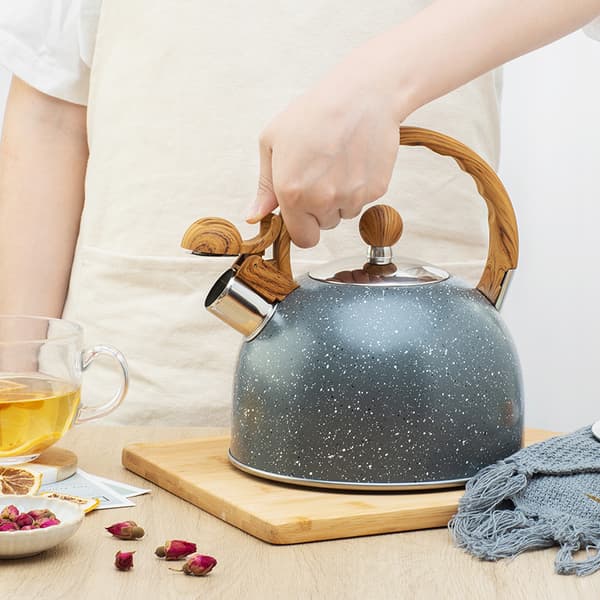 2,5L rustfrit stål tekande med advarselsfløjte, retro stil