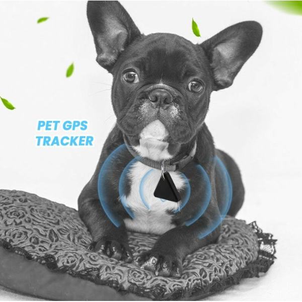 Svart Mini Smart Pet GPS Tracker Pet Locator Anti-Lost Vattentät Triangulär Bluetooth Tracker Barn