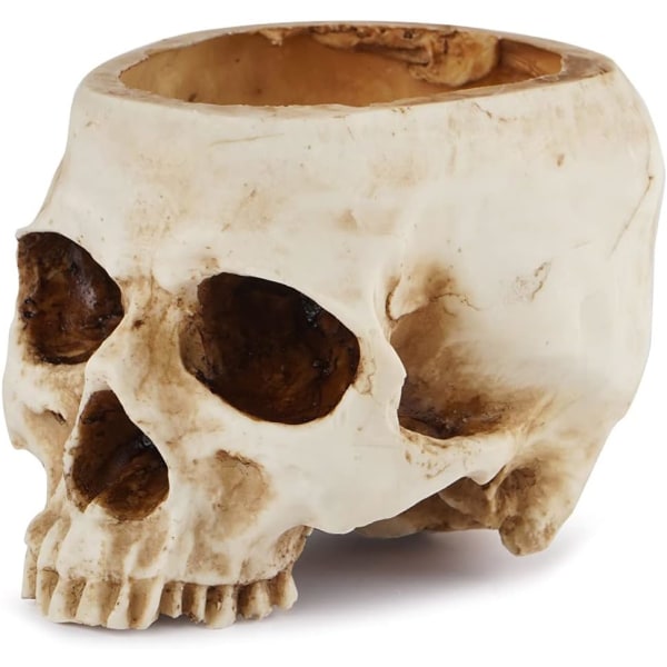 Skull Planter Resin Skull Muotoinen kukkaruukku kotitoimiston pöydän koristeluun