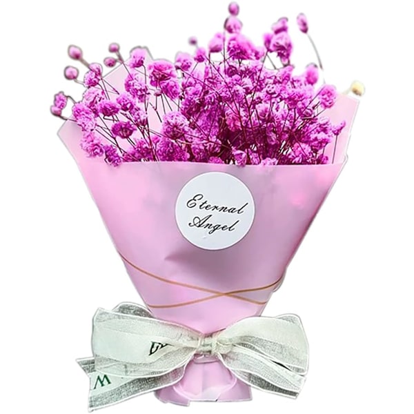 Torkad Blomma Gypsophila Bil Aromaterapi Clip, Gypsophila Dr