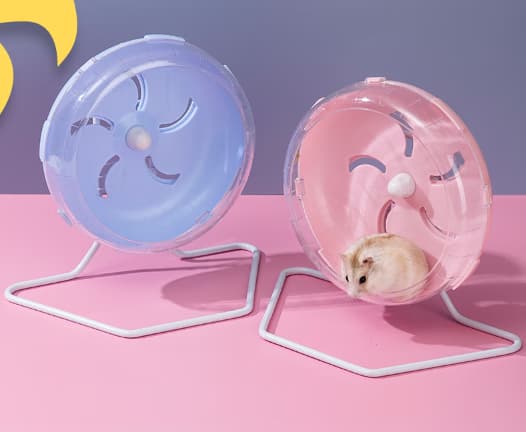 Blå 18cm Genomskinligt Hamsterlöphjul