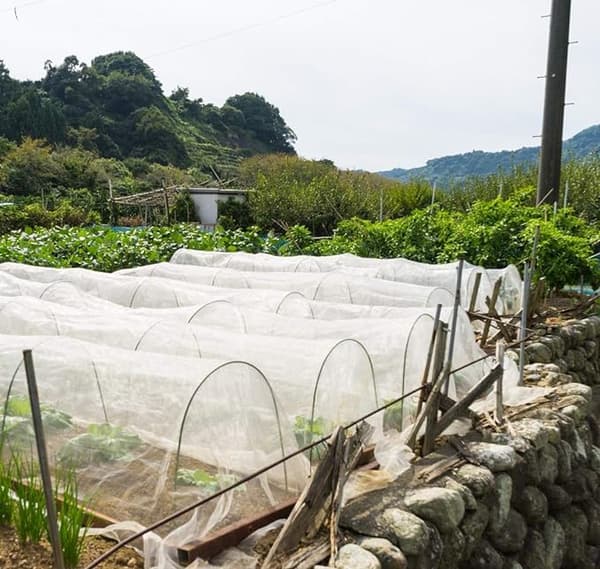 Have Net til Have: 3x5 Meter Sølv, Beskyttelse af Grøntsager Net Sommerfugl til Planter Fr