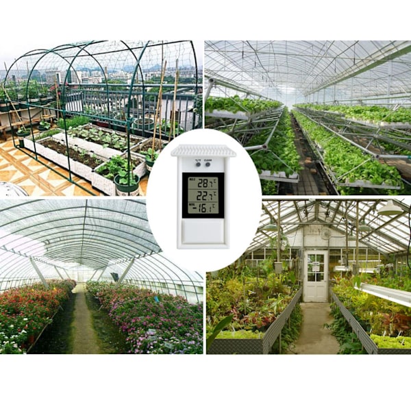 Drivhus plantetermometer sort