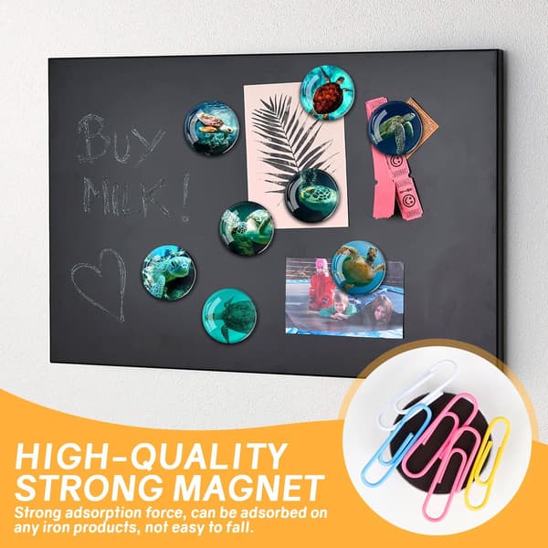 12-pack Glaskylmagneter - 35 mm (Sjösköldpadda Kylskåpsmagnet)