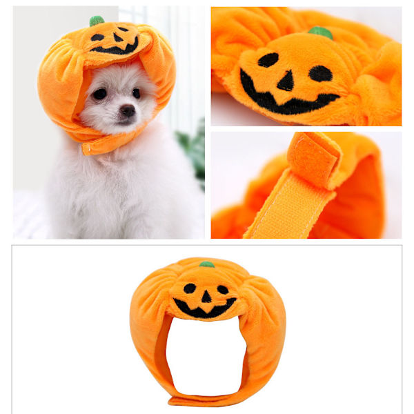 (L)Halloween kjæledyr gresskar lue justerbar kjæledyr hodeplagg søt gresskar lue for katt hund Halloween utkledning