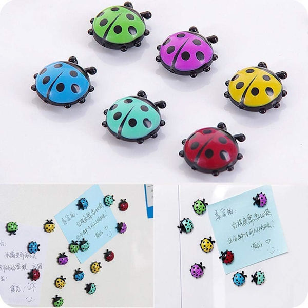 U/K 12 stk Mini Ladybug Magneter Kjøleskap Magneter Praktisk og Populær