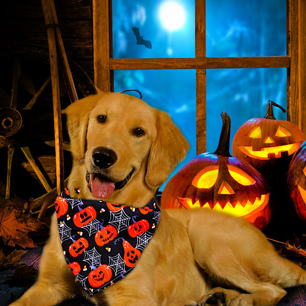 7 st Halloween hundhalsduk, husdjurshalsduk, hundbandana, tvättbar triangel hundhalsduk, pumpa och spökmönster