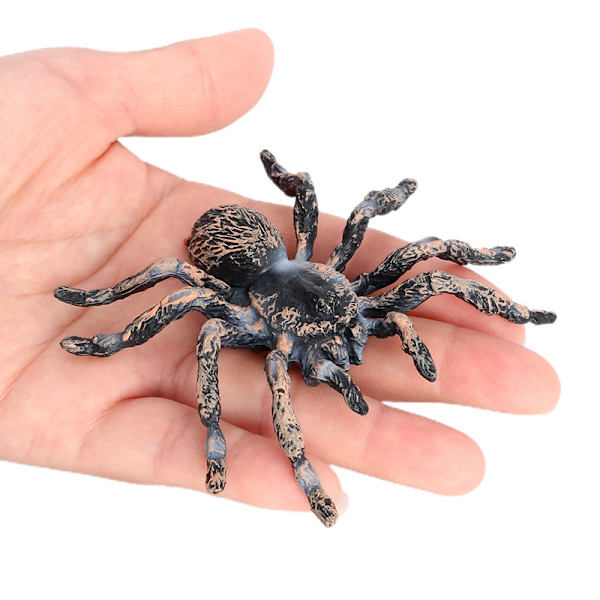 Halloween Spider Pattern