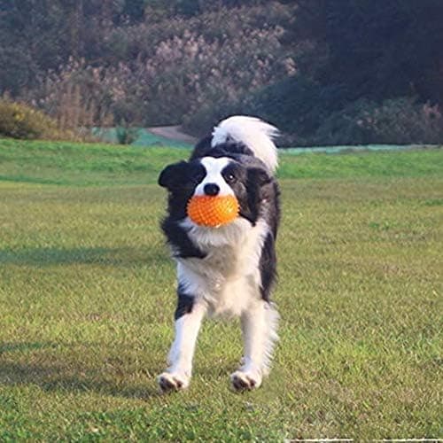 2 stycken Blå Boll Hög Elastisk Hund Tuggleksaker för Ani