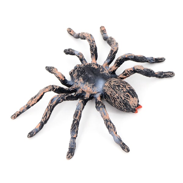 Halloween Spider Pattern