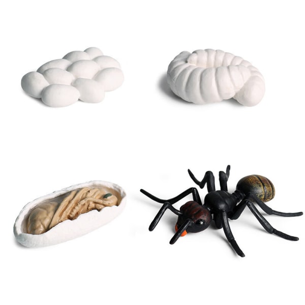 Livscykelmodell 1 stycke 1 set fjäril insekt djur simulering mini tillväxtcykel fjäril groda myra tupp djur ch H