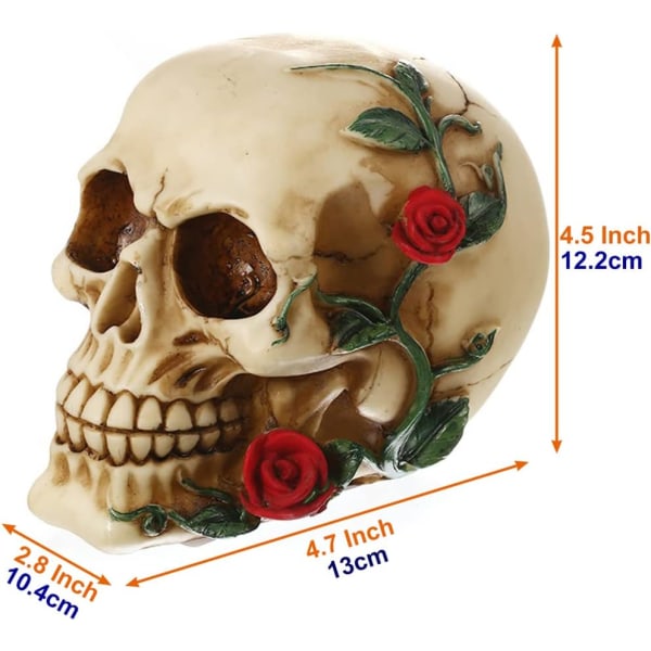 Human Skull Model - Lille størrelse