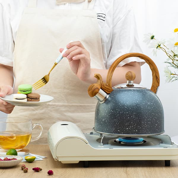2,5L rustfrit stål tekande med advarselsfløjte, retro stil