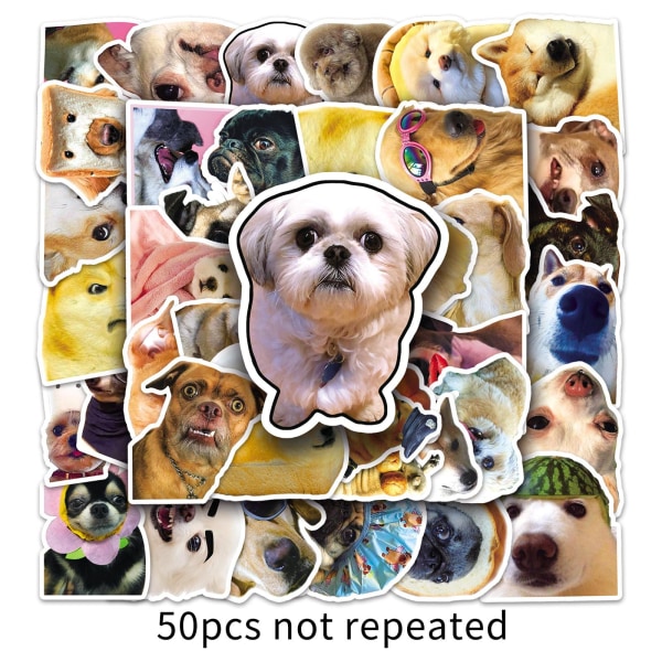 Søt Internet Celebrity Dog Expression Pack, 50 kreative og morsomme