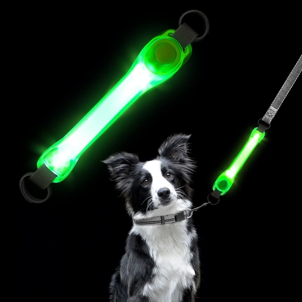 Lysande hundkoppel, vattentät blinkande LED-hundhalsband Luminous P