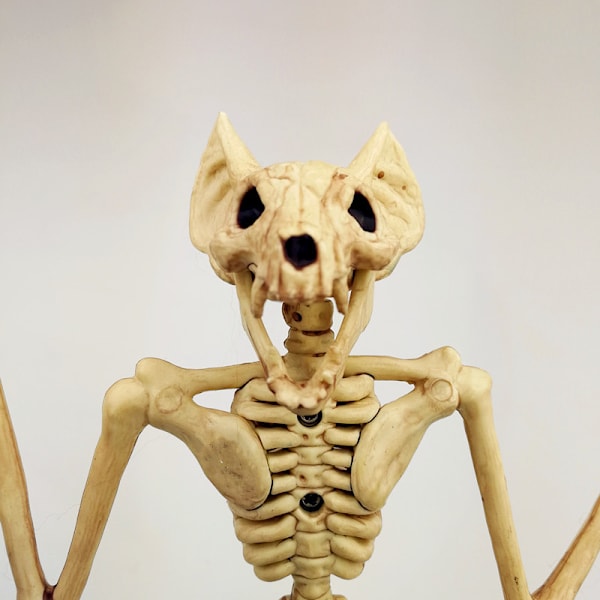 Horror Halloween flagermus skelet simulation flagermus skelet realistisk flagermus knogle Halloween rekvisitter dyr skel