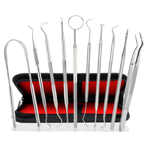 Dentala verktyg, 10-pack plackborttagare i rostfritt stål Tandrengöringsverktyg S