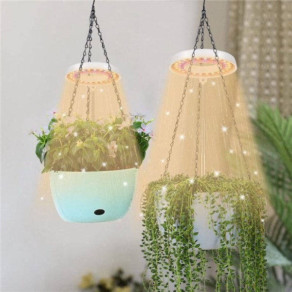 LED-växtlampa, Halo-lampa för inomhusväxter som växer, 4/8/12/18 timmars automatisk timer, för bonsai suckulenter små växter