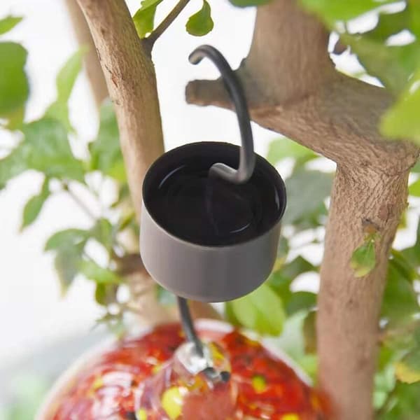 Oriole-krog med dobbeltkrog til fugle