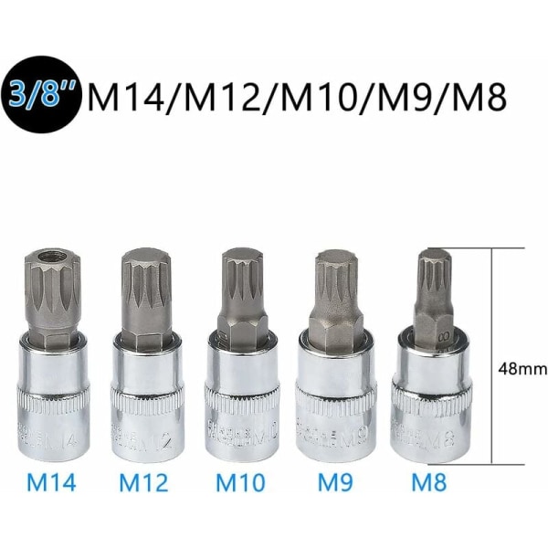 10 stk. M4 Spline Socket Sæt - M18 Torx - Triple Square Socket Sæt med Opbevaringskasse