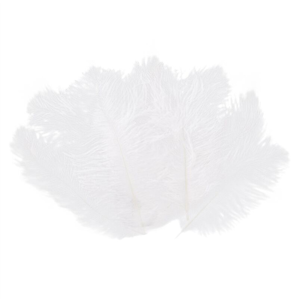 200 stk. Hvide Strudsefjer 20-25cm Bryllup DIY