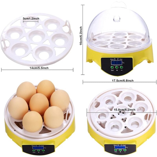 Ägginkubator, 7 Digitala Ägginkubatorer, Mini Ägginkubator för Kyckling, Anka, Gås - RWPoultry Hatcher och Inkubator