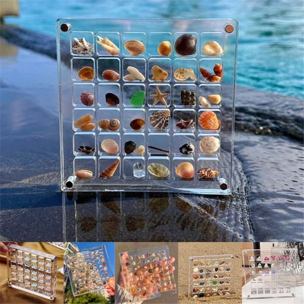 2 stk. Akryl Magnetisk Seashell Display Box Diamant Ædelsten Perler Opbevaring Display Organizer Gitre Klar, C