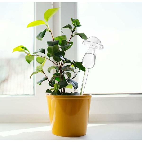 Glasskuler for vanning - Automatisk vanning av planter - 2 pakker vanningskuler for innendørs og utendørs planter