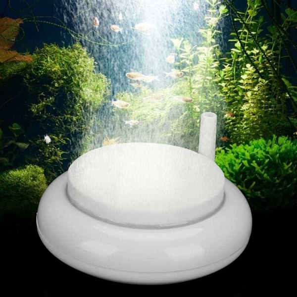 Akvarium Nano Stone Hållbar Sten Luftbubbladissk Nano Skala Rund Diffusor Syretank Bubbler för Akvarium Fiskdammar och Hydroponik