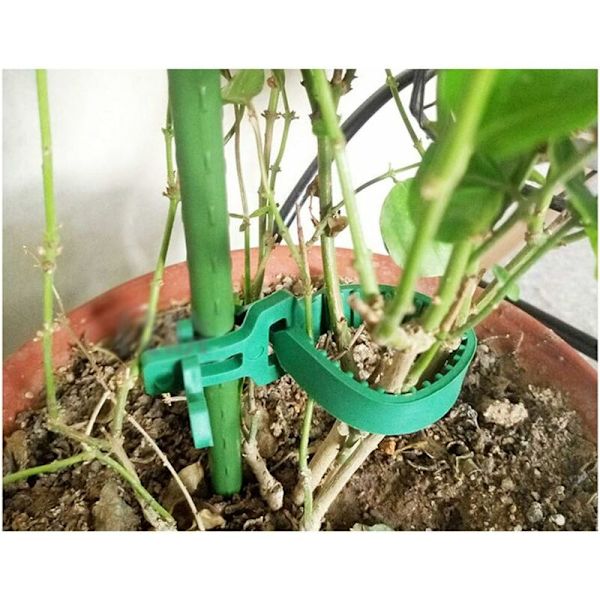 2 stk. 24 cm plantepinde, kraftige bløde gummibånd justerbare interlock havebånd rosentblomsterbånd til træplantesupportplanter