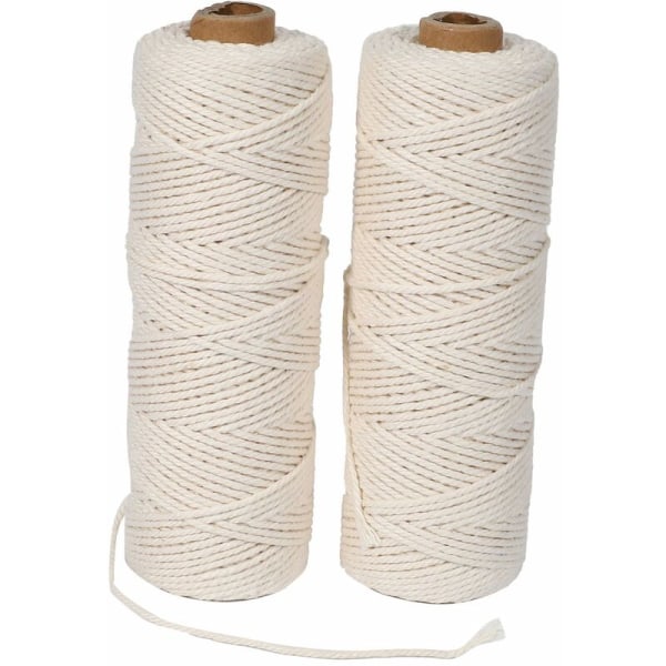 2 Rolls 2Mm 100 Meters for Packing DIY Crafts, Durable Rope for Gardening Heavy Duty