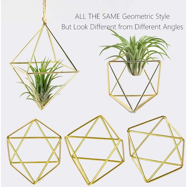 10 kappaletta ilmatehtaan pidikettä, pieni metallinen pöytälevy, geometrinen istutuskone, Tillandsia-ilmakasvinäyttöteline