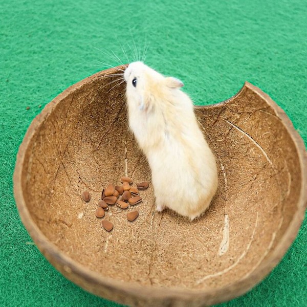Halve kokosnøttskallbiter, kokosnøttskall som avls- og gjemmested for smådyr, dekor for akvarium for smådyr (ø 10-14 cm)