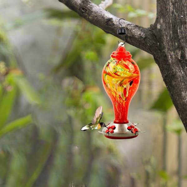 Kolibri Vandføder Malet Glas Fuglefoder Malet Glas Kolibri Feeder