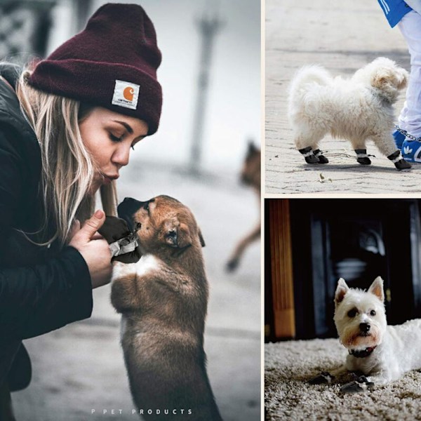 4 Paria Koiran Kenkiä, Tassunsuojat Saappaat Heijastavilla Nauhoilla, Liukumattomat Saappaat Pienille Keskikokoisille Koirien (Musta)