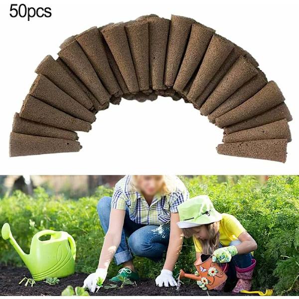 50-pack odlingsvampar för hydroponiskt odlingssystem